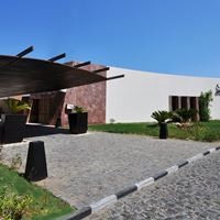 ყველა preview