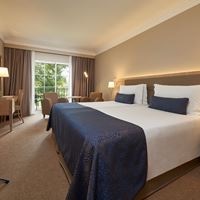 ნომრები preview