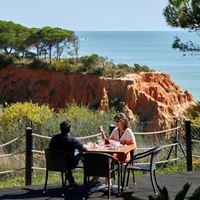 ბარები preview