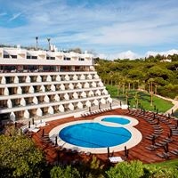 ყველა preview