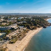 ყველა preview