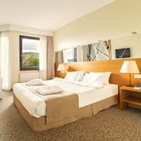 ნომრები preview