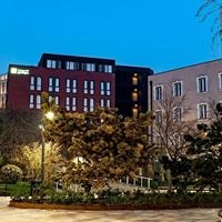 ყველა preview