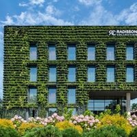 ყველა preview