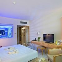 ნომრები preview