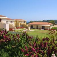 ყველა preview