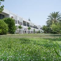 ყველა preview