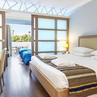 ნომრები preview