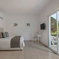 ნომრები preview