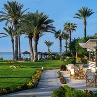 ბარი preview