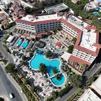 ყველა preview