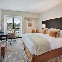 ნომრები preview