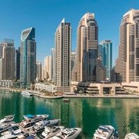 ყველა preview