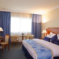 ნომრები preview