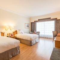 ნომრები preview