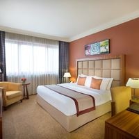 ნომრები preview