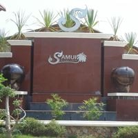 ყველა preview