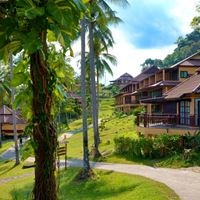 ყველა preview