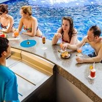 ბარი preview