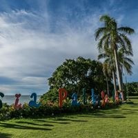 ყველა preview