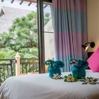 ნომრები preview