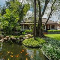 ყველა preview