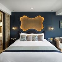 ნომრები preview