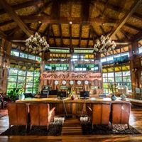 ყველა preview