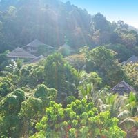 ყველა preview