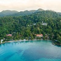 ყველა preview