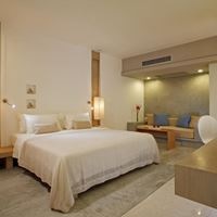 ნომრები preview