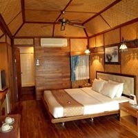 ნომრები preview