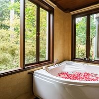 ნომრები preview