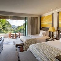 ნომრები preview