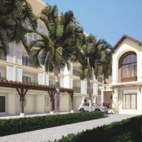 ყველა preview