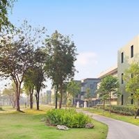 ყველა preview