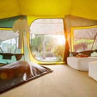 ნომრები preview