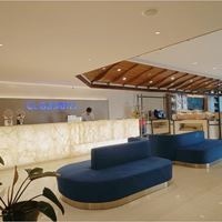 ყველა preview