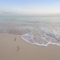 პლაჟი preview