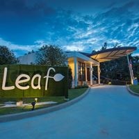 ყველა preview