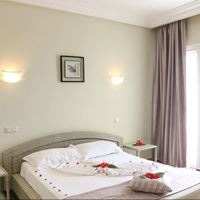 ნომრები preview