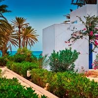 ყველა preview