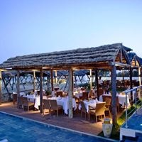 რესტორანი preview