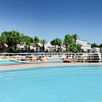 ყველა preview