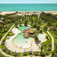 ყველა preview