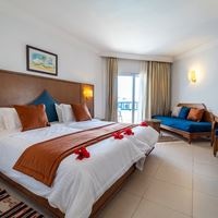 ნომრები preview