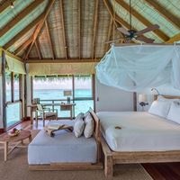 ნომრები preview