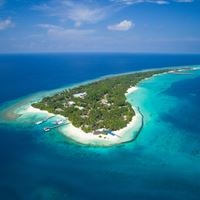 ყველა preview