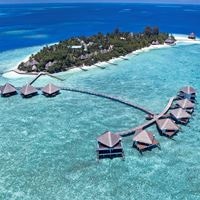 ყველა preview