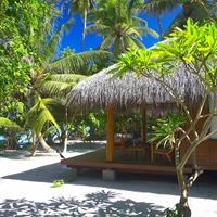 ნომრები preview